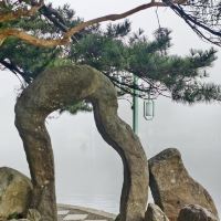評論圖片 3