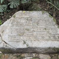 評論圖片 5