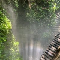 評論圖片 5