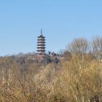 評論圖片 2