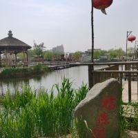 評論圖片 8