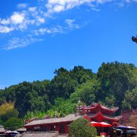 評論圖片 7