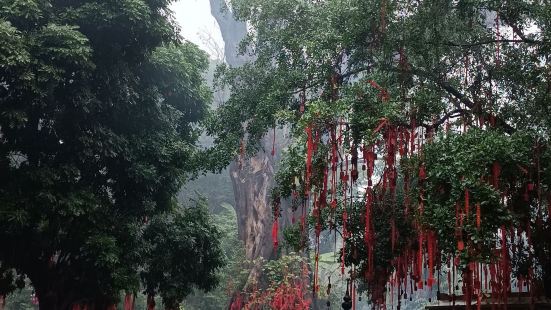 去的那天下雨，霧蒙蒙，去旅行就是會碰到各種各樣天氣，霧天有霧