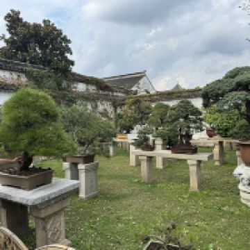 評論圖片 3