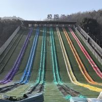 評論圖片 6