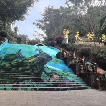 評論圖片 3