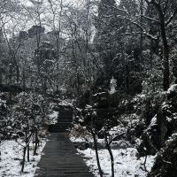 評論圖片 3