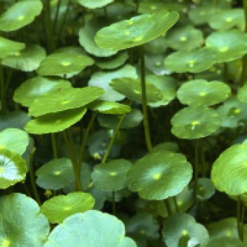 評論圖片 6