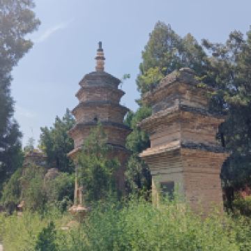 評論圖片 7