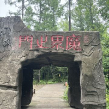 評論圖片 7