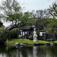 評論圖片 8