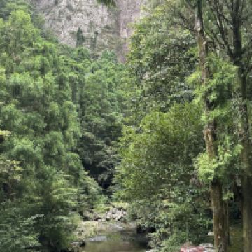 評論圖片 1