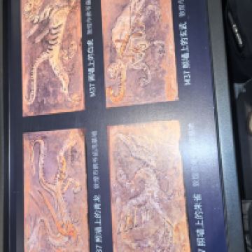 評論圖片 9