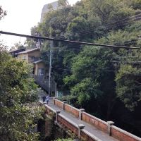 評論圖片 5