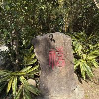 評論圖片 2