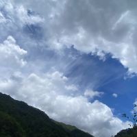 評論圖片 1