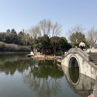 評論圖片 4
