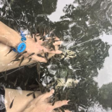 評論圖片 1