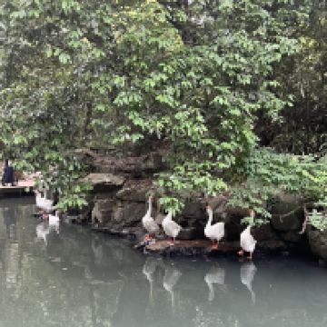 評論圖片 5