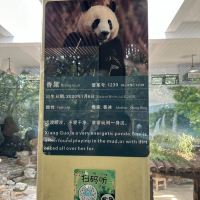 評論圖片 2