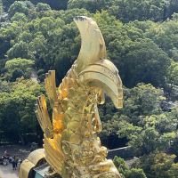 評論圖片 6