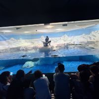 評論圖片 5