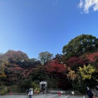 評論圖片 2