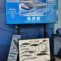 評論圖片 4