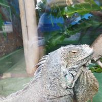 評論圖片 8