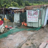 評論圖片 1