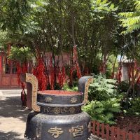 評論圖片 6
