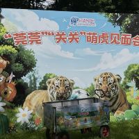 評論圖片 2