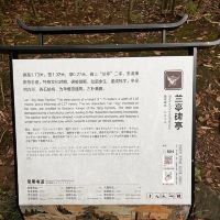 評論圖片 5