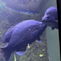 評論圖片 1