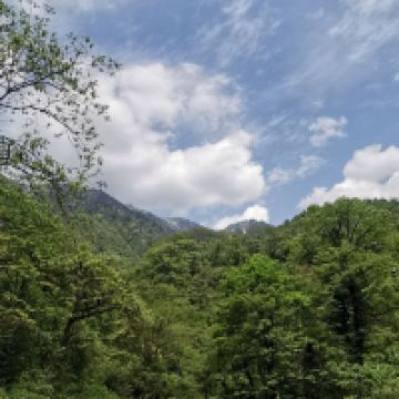 評論圖片 5