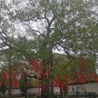 評論圖片 9