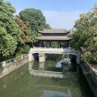 評論圖片 9