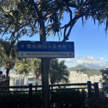 評論圖片 2