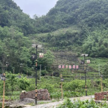 評論圖片 6