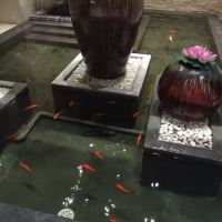 評論圖片 1