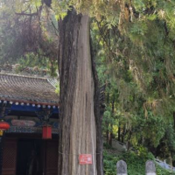 評論圖片 5