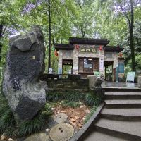 評論圖片 3