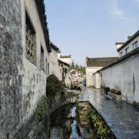 評論圖片 7