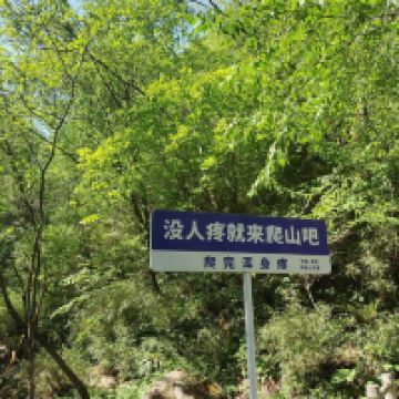 評論圖片 6