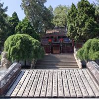 評論圖片 7