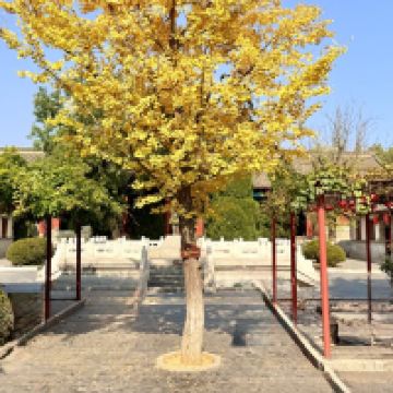 評論圖片 8