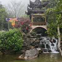 評論圖片 2