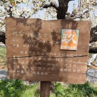 評論圖片 2