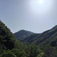 評論圖片 2