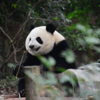 評論圖片 4